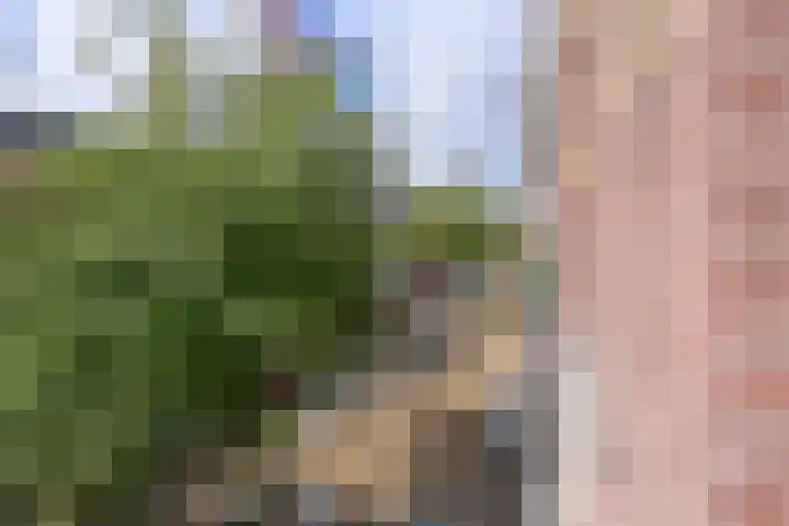 Javastraat 121 H Amsterdam thumbnail 16