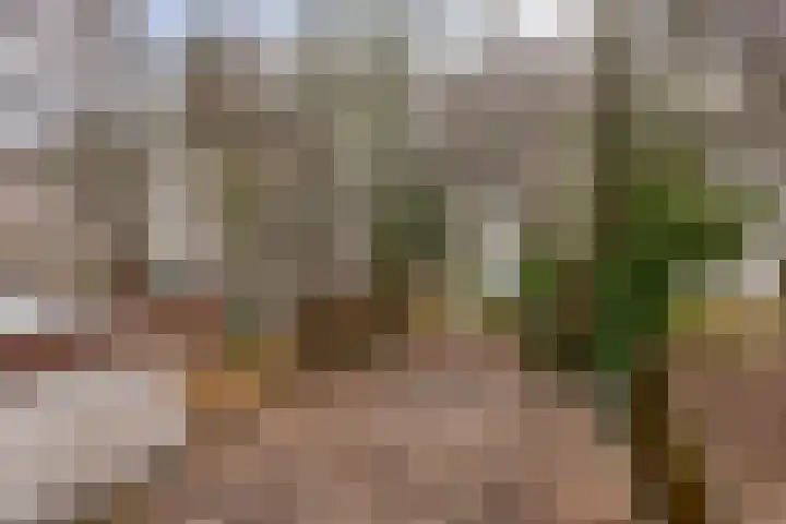 Javastraat 121 H Amsterdam thumbnail 28