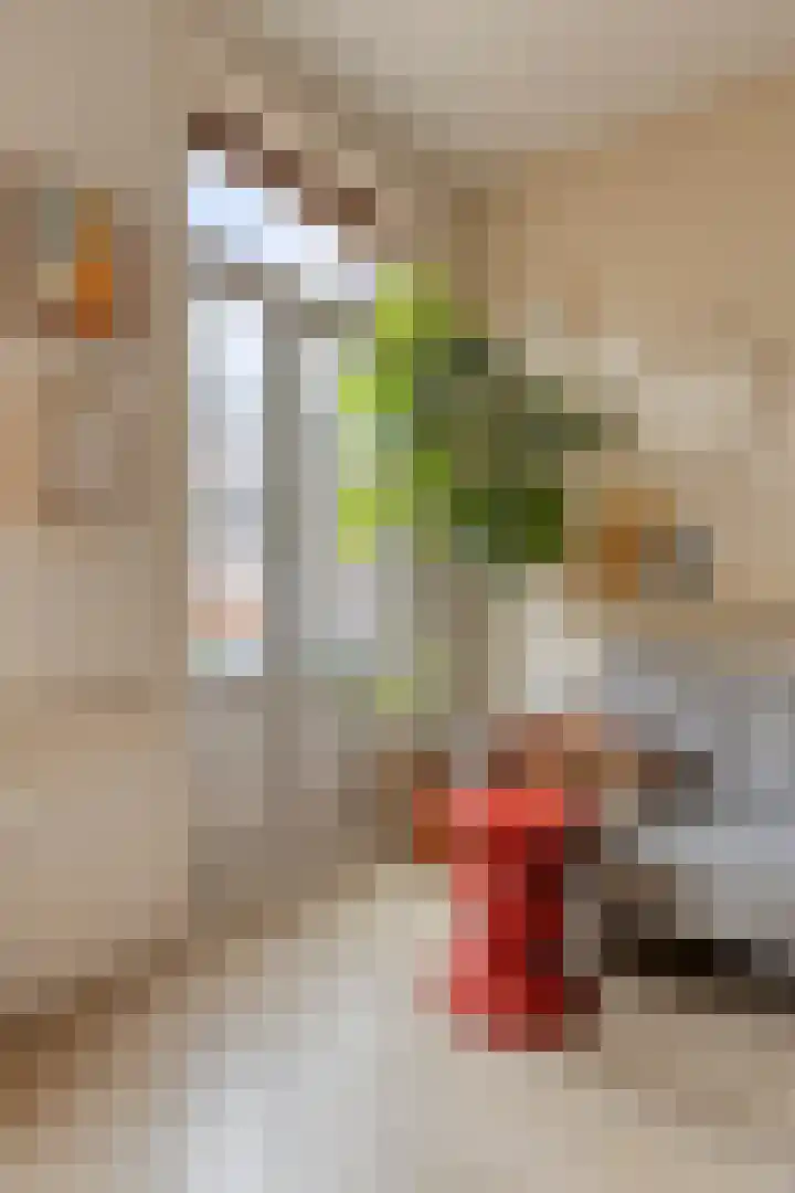 Javastraat 121 H Amsterdam thumbnail 8