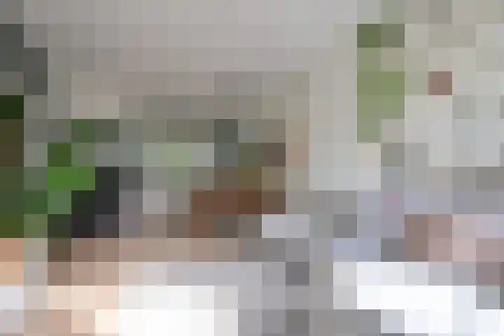 Javastraat 121 H Amsterdam thumbnail 8