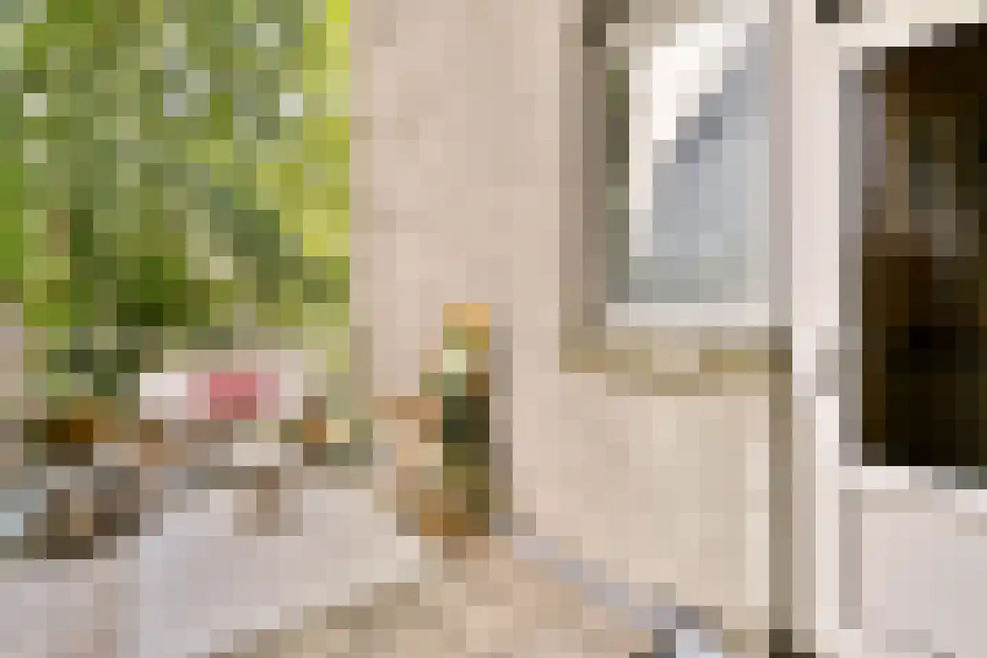 Javastraat 123 1 Amsterdam thumbnail 13