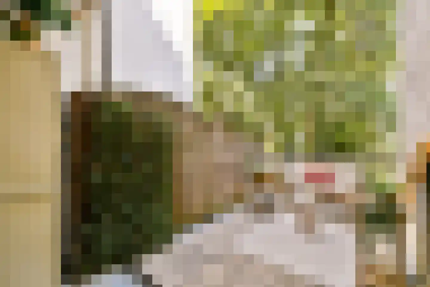 Javastraat 123 1 Amsterdam thumbnail 4