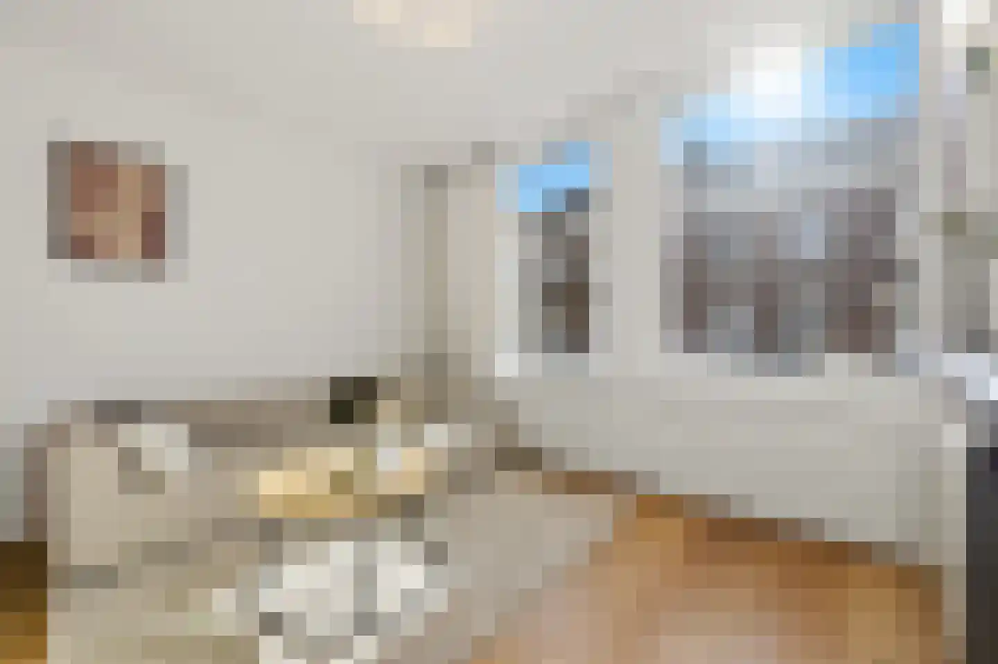 Javastraat 134 Den Haag thumbnail 12