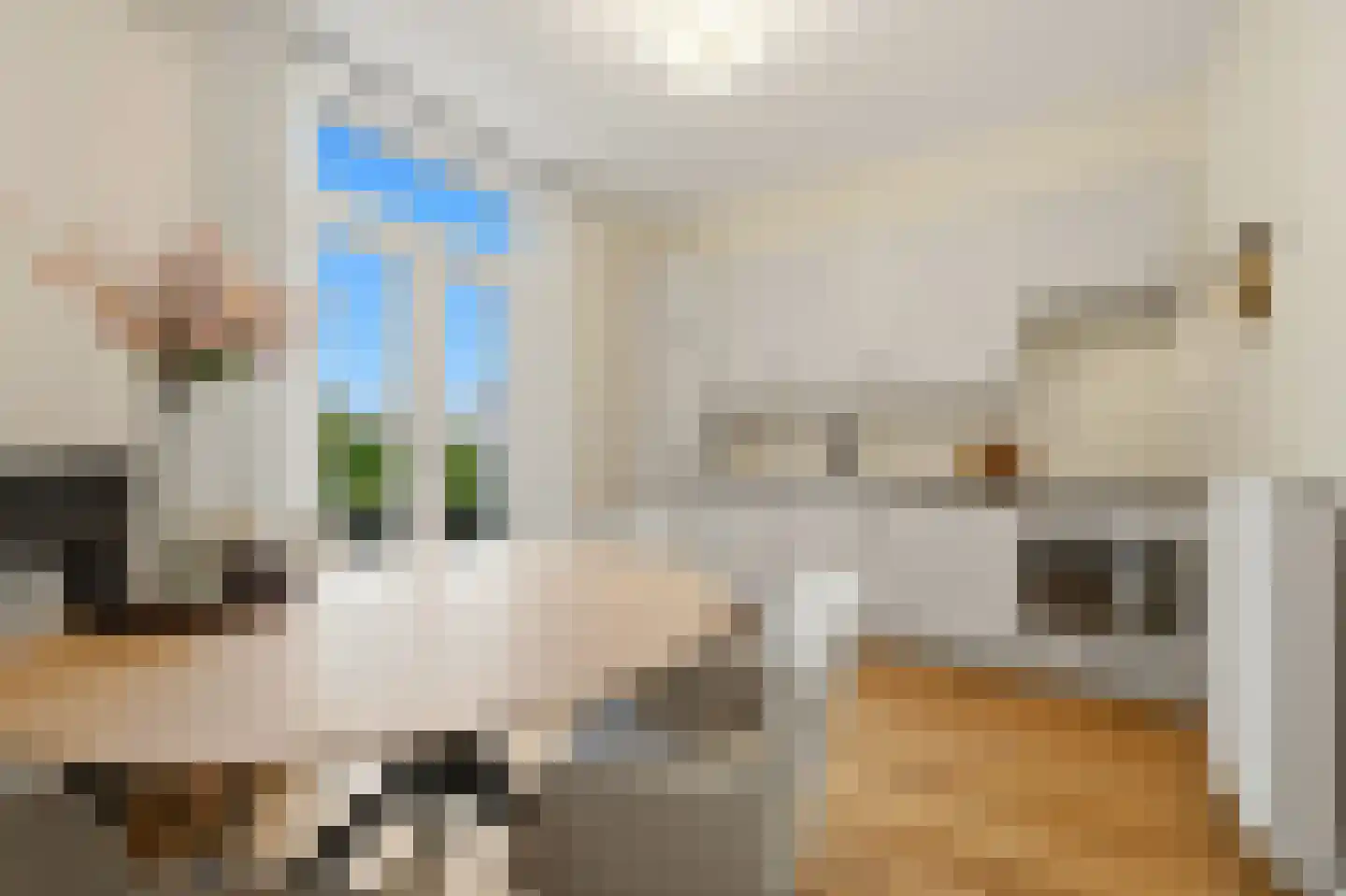 Javastraat 134 Den Haag thumbnail 4