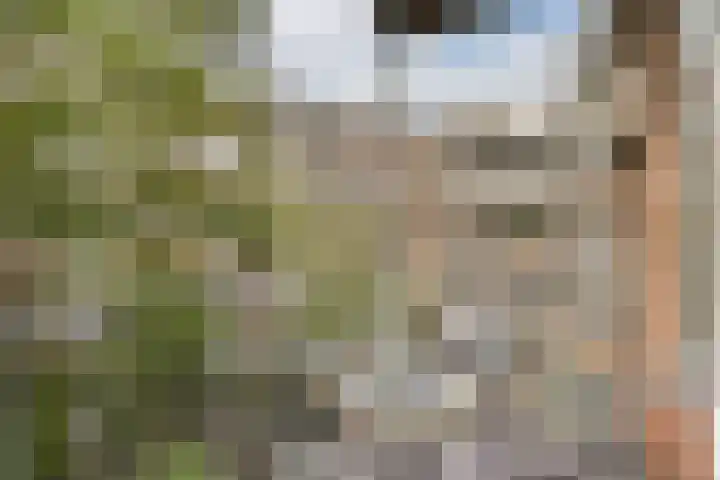 Javastraat 136 3 Amsterdam thumbnail 10