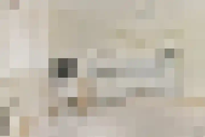 Javastraat 136 3 Amsterdam thumbnail 11