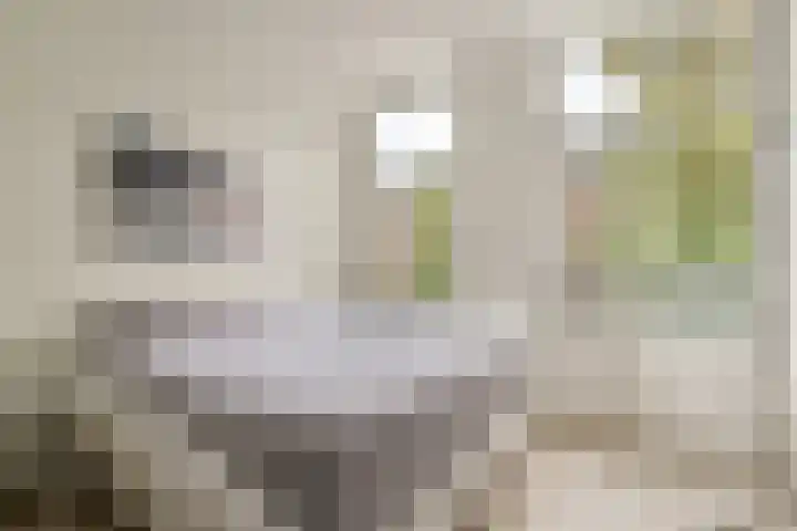 Javastraat 136 3 Amsterdam thumbnail 14