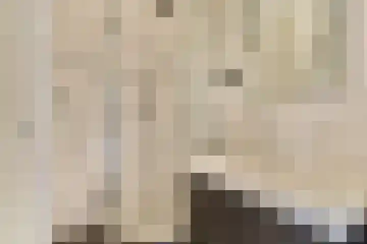 Javastraat 136 3 Amsterdam thumbnail 18