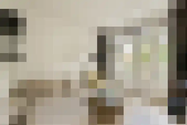 Javastraat 136 3 Amsterdam thumbnail 6