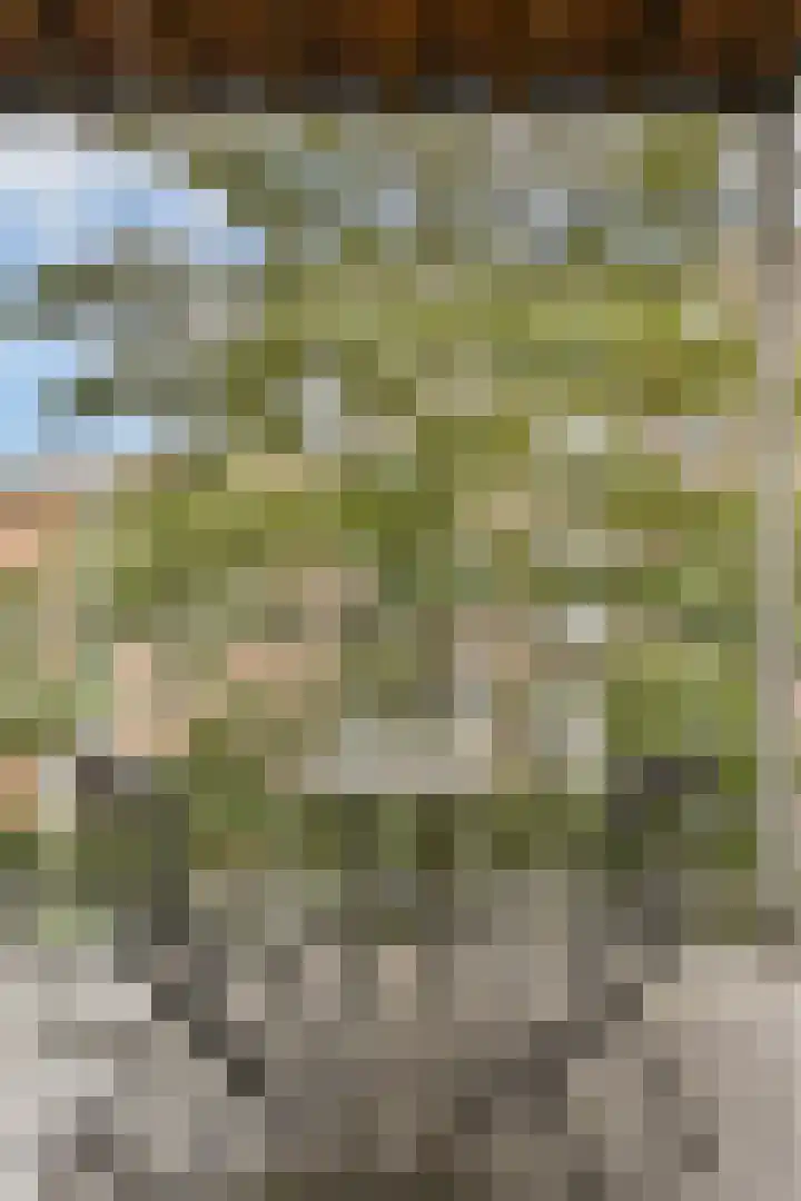 Javastraat 136 3 Amsterdam thumbnail 9