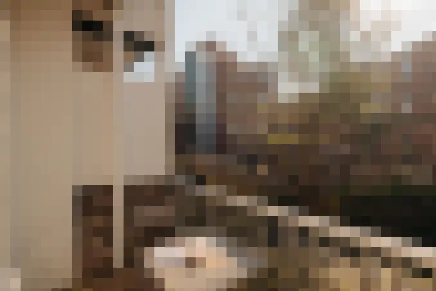 Javastraat 138 B Amsterdam thumbnail 7