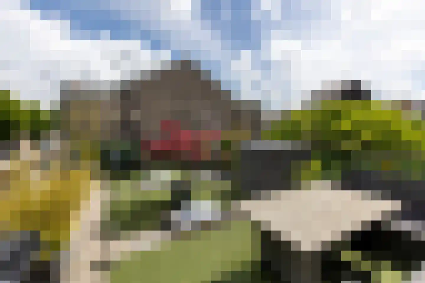 Javastraat 14 Haarlem thumbnail 12
