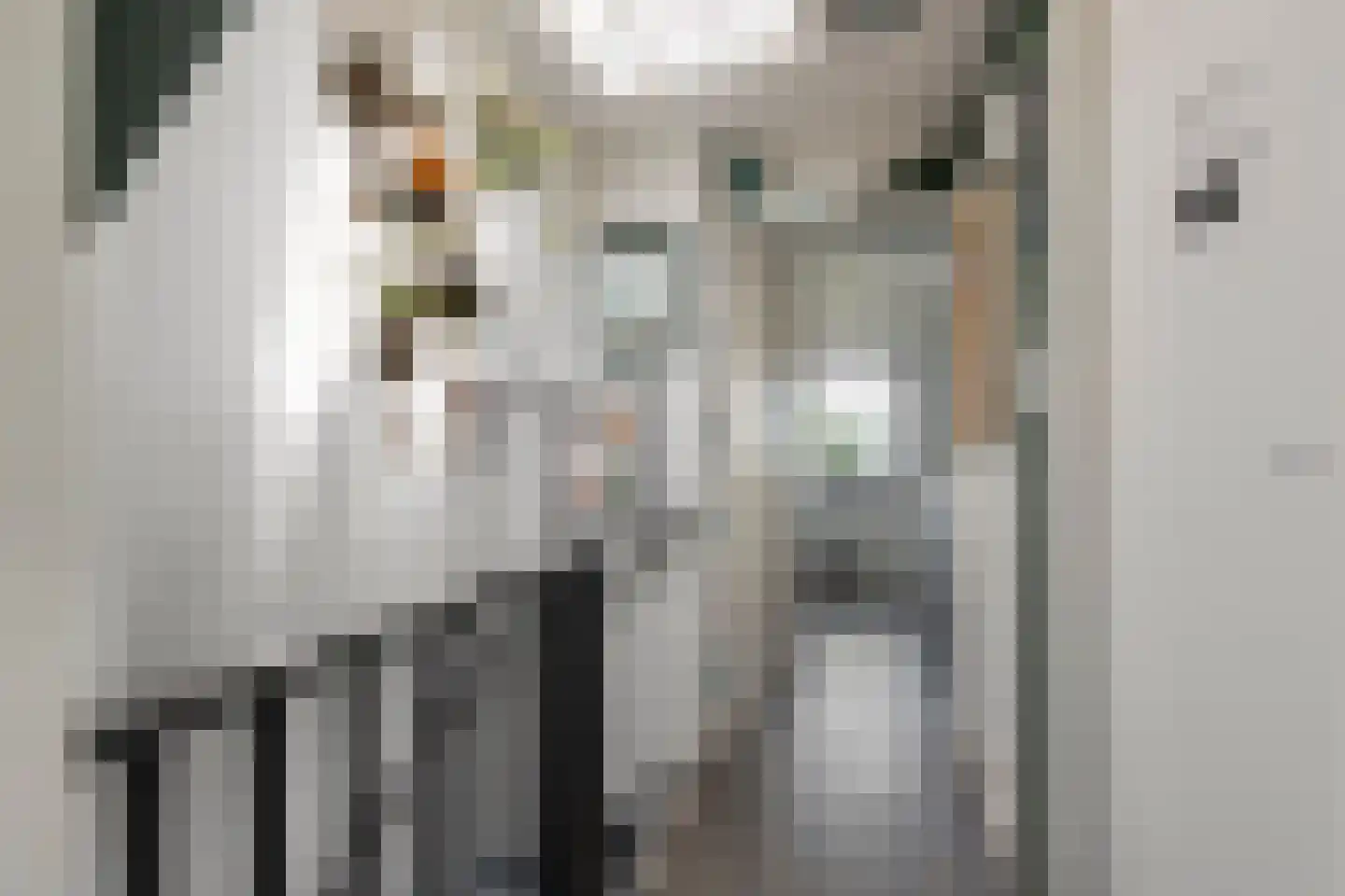 Javastraat 14 Haarlem thumbnail 17