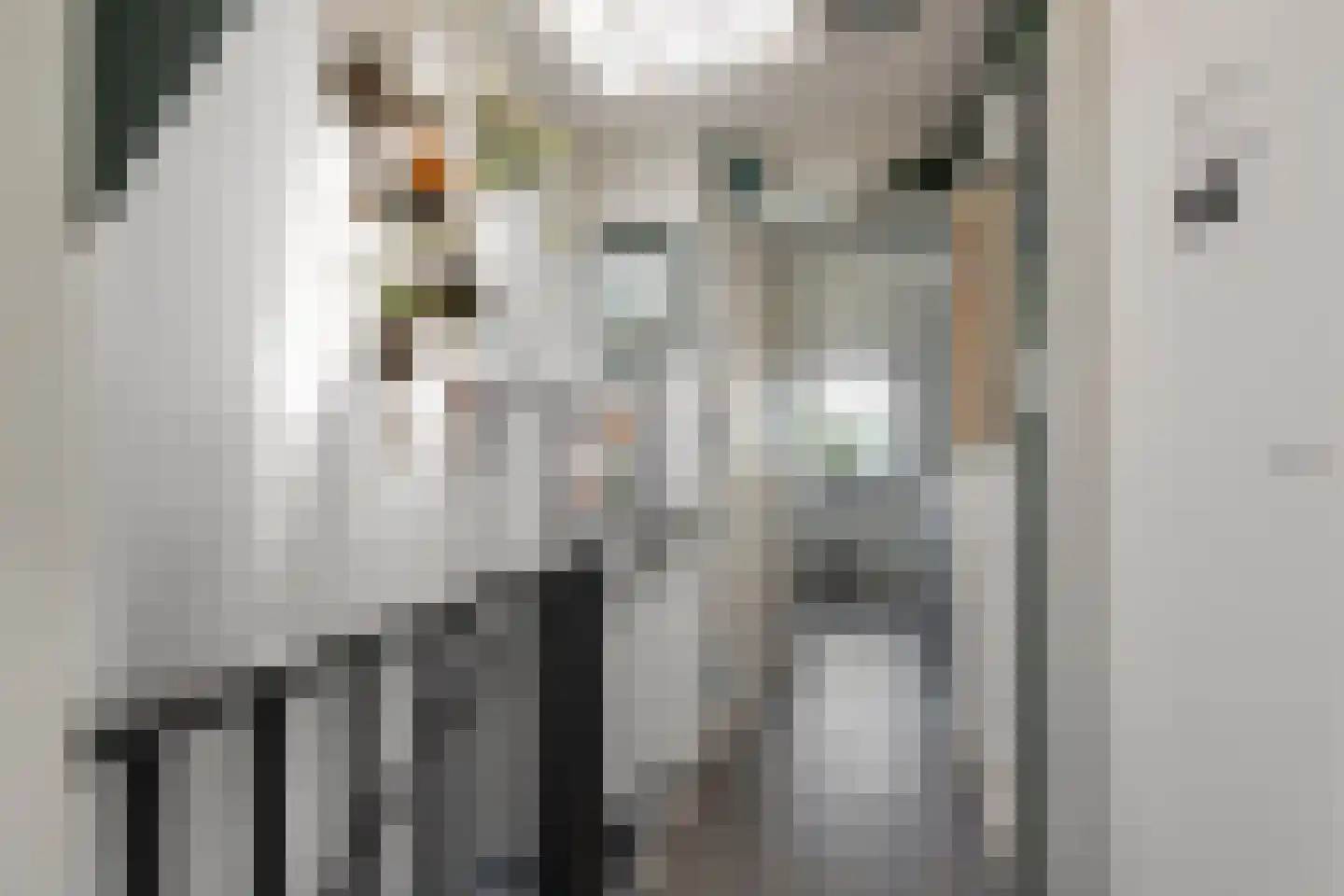 Javastraat 14 Haarlem thumbnail 17