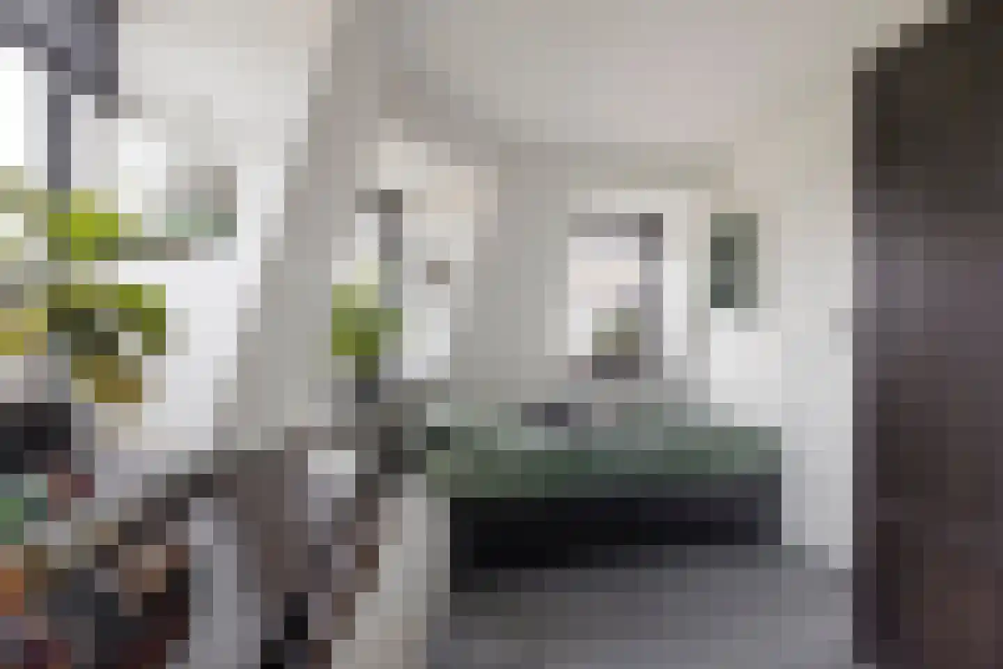 Javastraat 14 Haarlem thumbnail 21