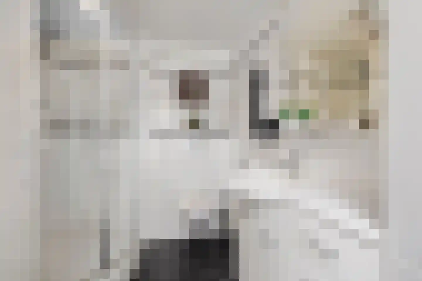 Javastraat 14 Haarlem thumbnail 23