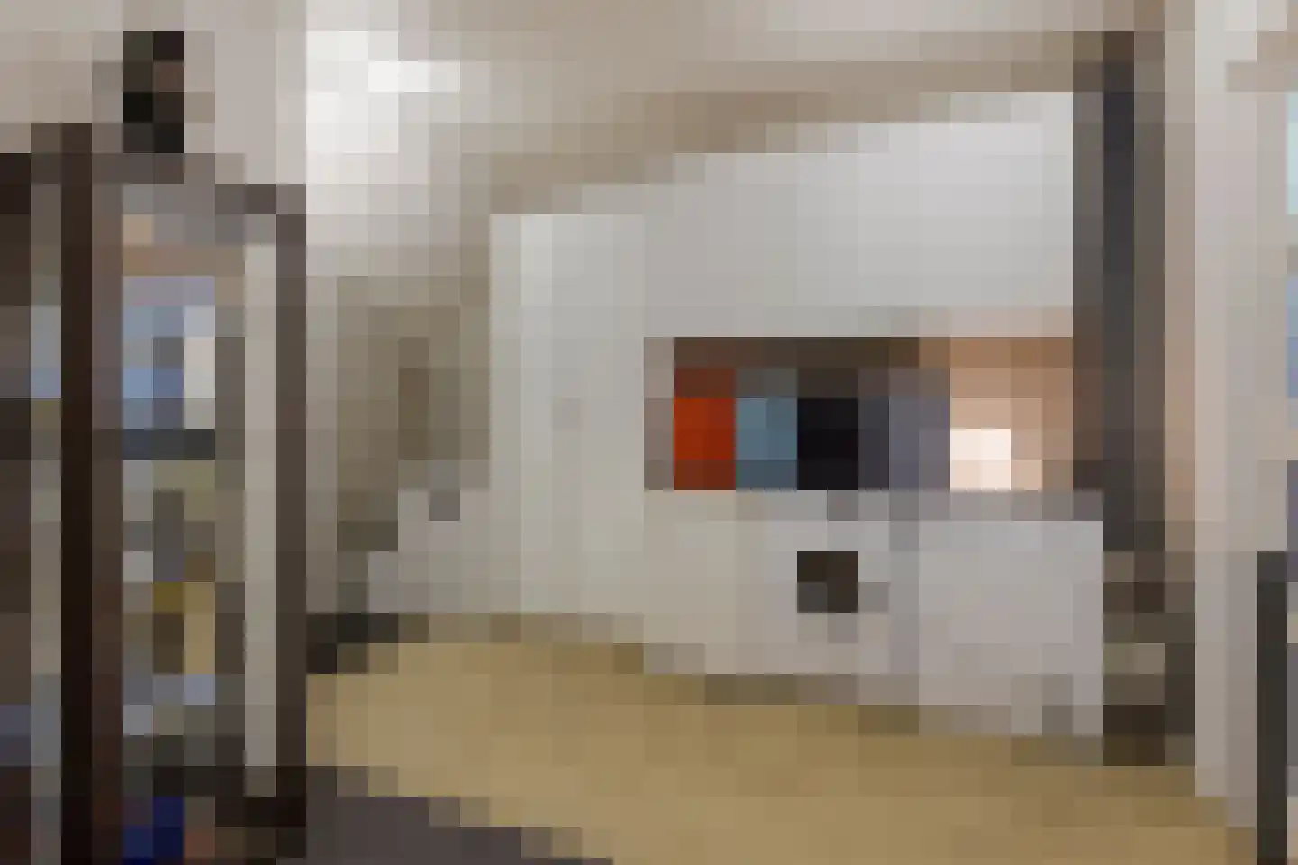 Javastraat 14 Haarlem thumbnail 29