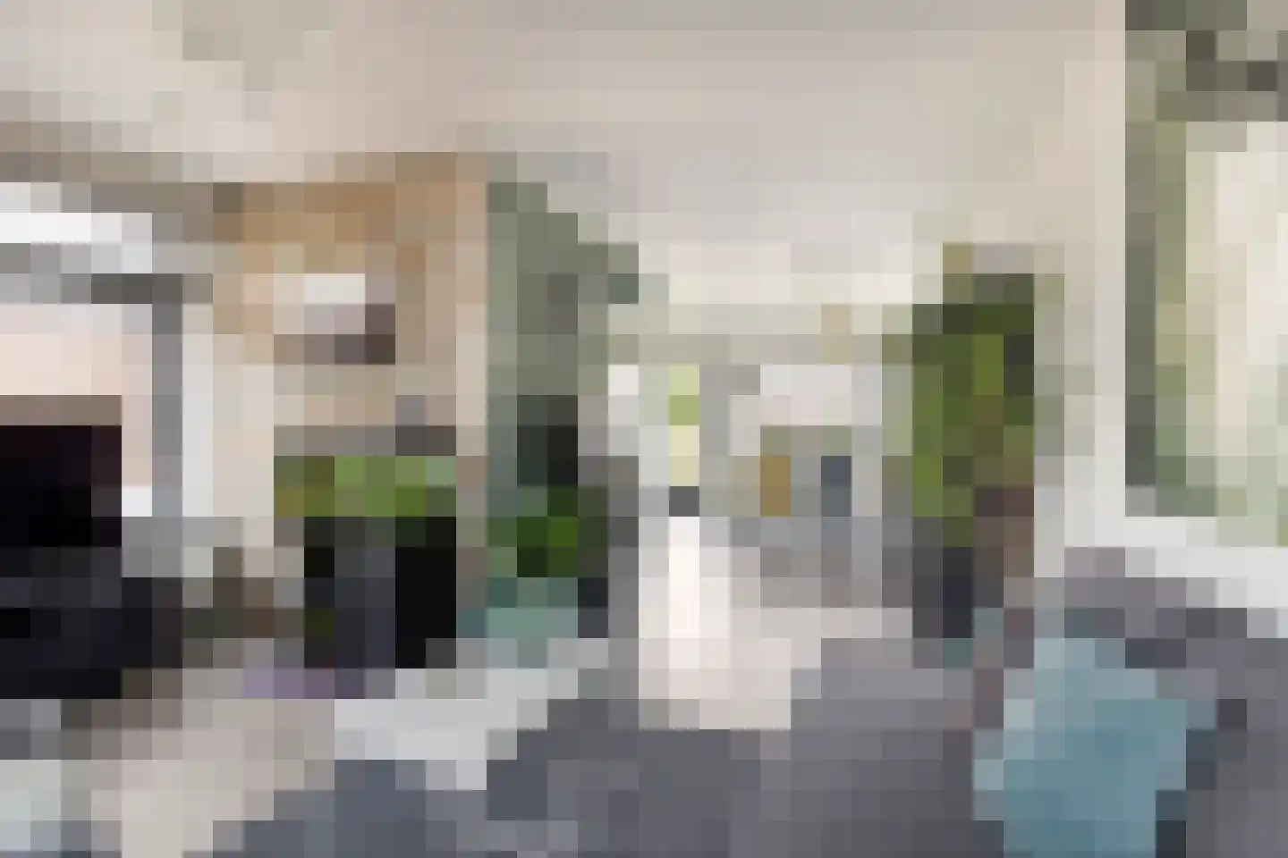 Javastraat 14 Haarlem thumbnail 5