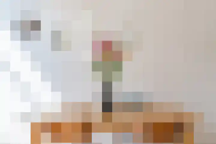 Javastraat 141 3 Amsterdam thumbnail 14