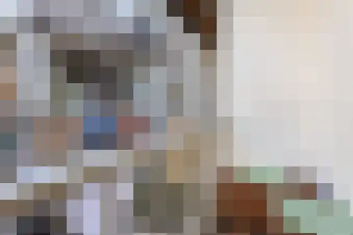 Javastraat 141 3 Amsterdam thumbnail 18