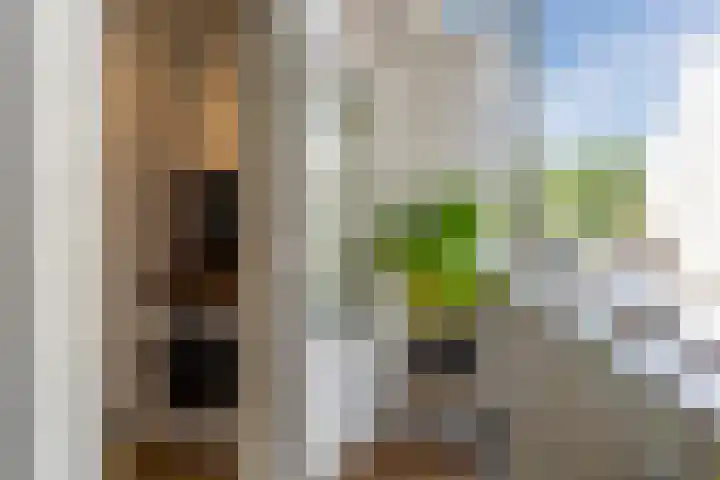 Javastraat 141 3 Amsterdam thumbnail 20