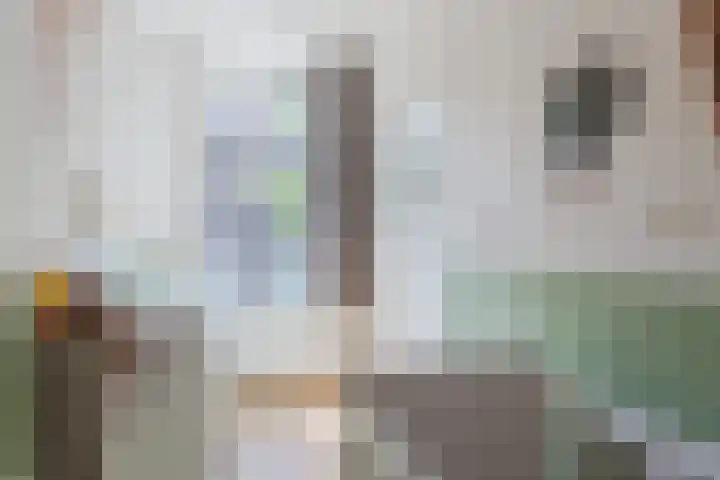 Javastraat 141 3 Amsterdam thumbnail 26