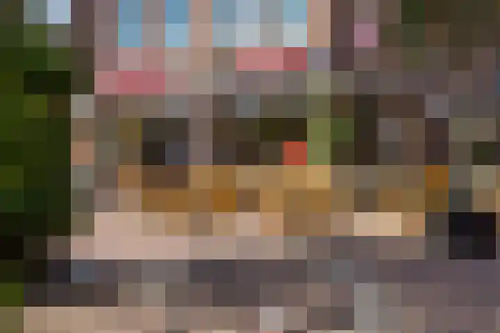 Javastraat 141 3 Amsterdam thumbnail 29