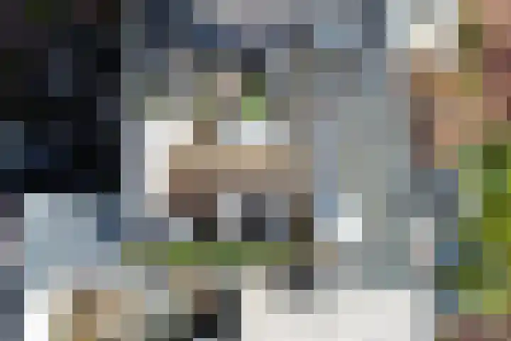 Javastraat 145 D Amsterdam thumbnail 21