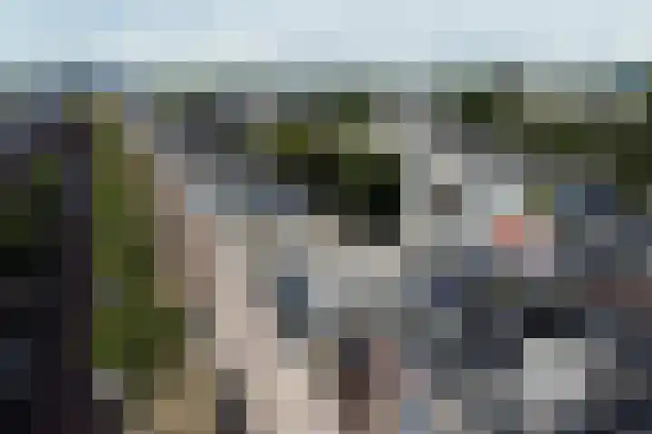 Javastraat 145 D Amsterdam thumbnail 22