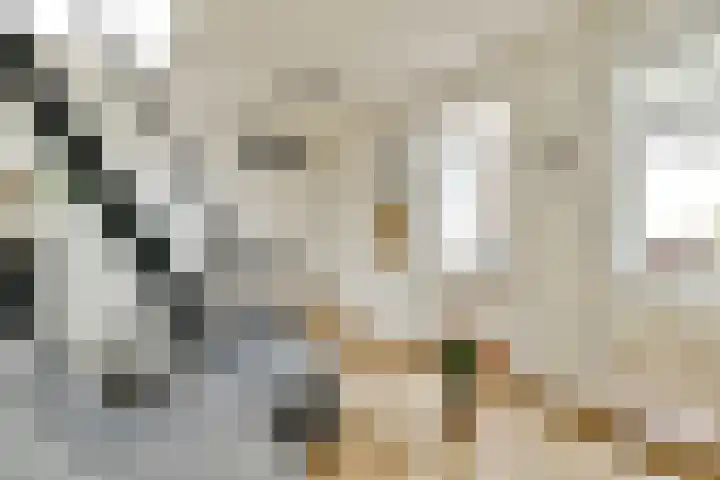 Javastraat 145 D Amsterdam thumbnail 6