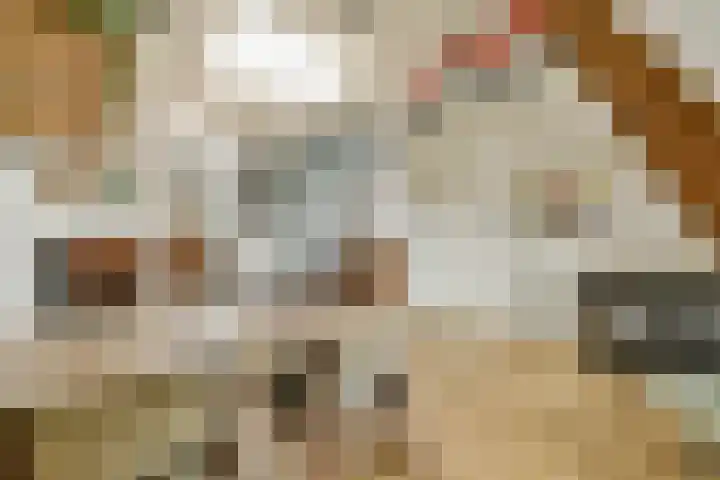 Javastraat 145 D Amsterdam thumbnail 8