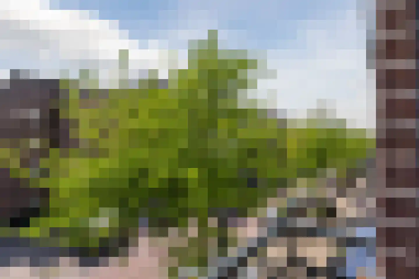 Javastraat 147 1 Amsterdam thumbnail 31