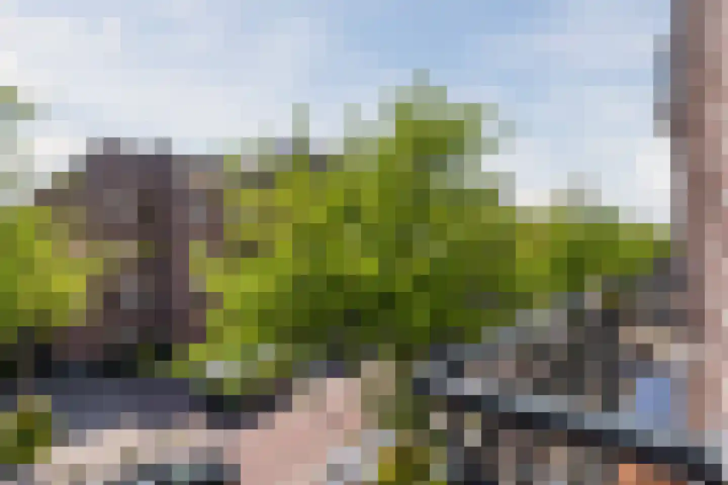 Javastraat 147 2 Amsterdam thumbnail 14