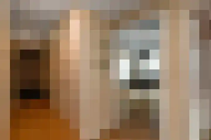 Javastraat 15 Arnhem thumbnail 16
