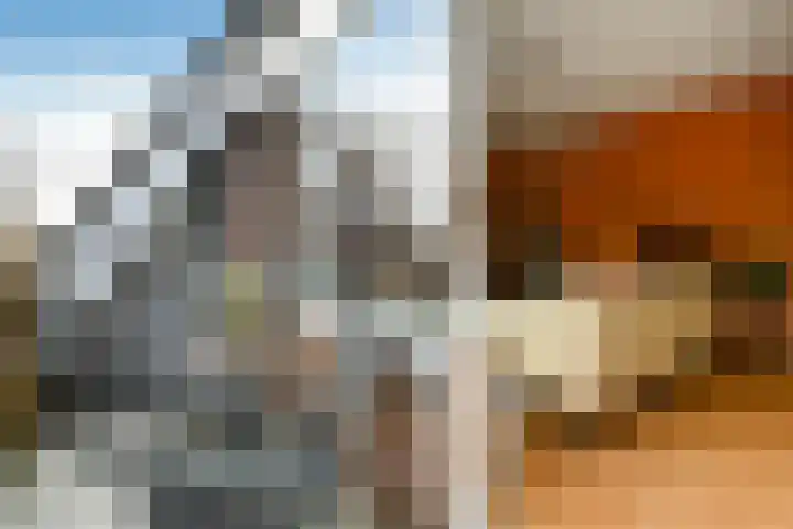 Javastraat 15 Arnhem thumbnail 9