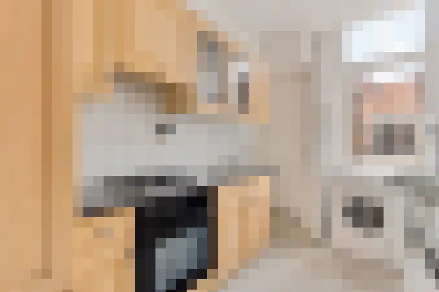 Javastraat 15 BS Utrecht thumbnail 10