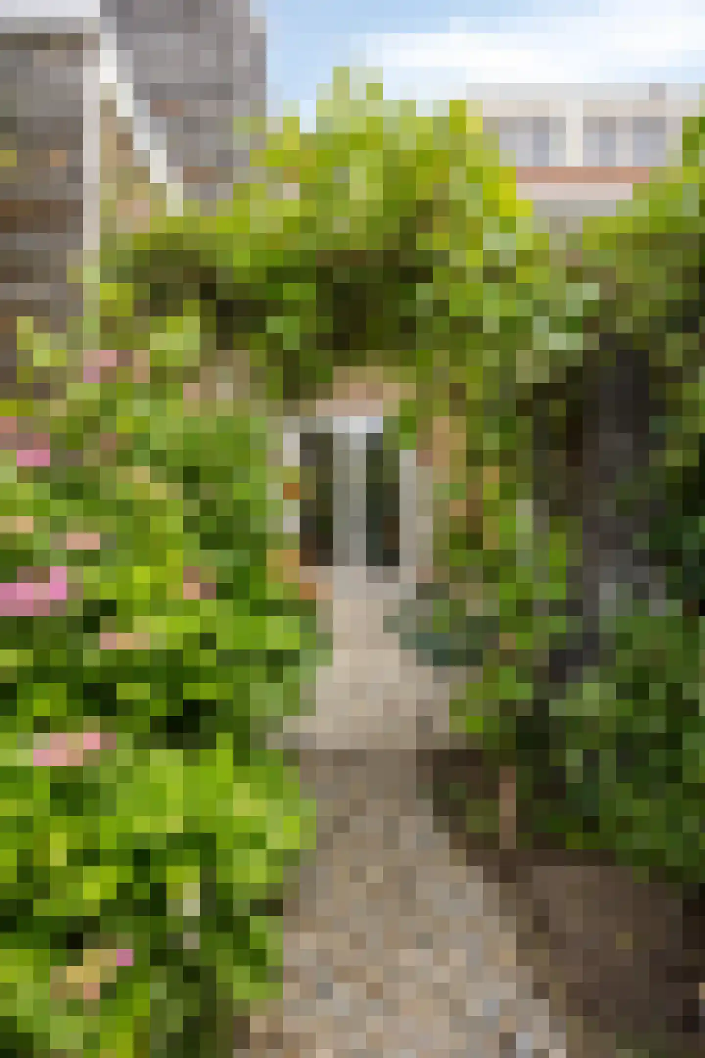Javastraat 15 's-Hertogenbosch thumbnail 35