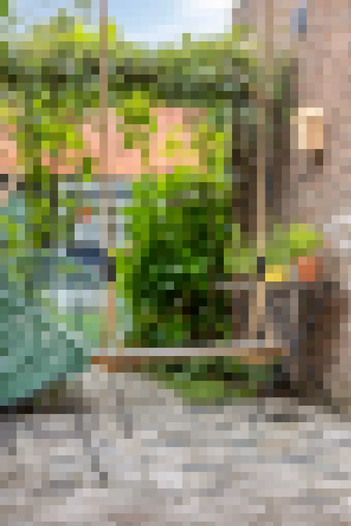 Javastraat 15 's-Hertogenbosch thumbnail 36