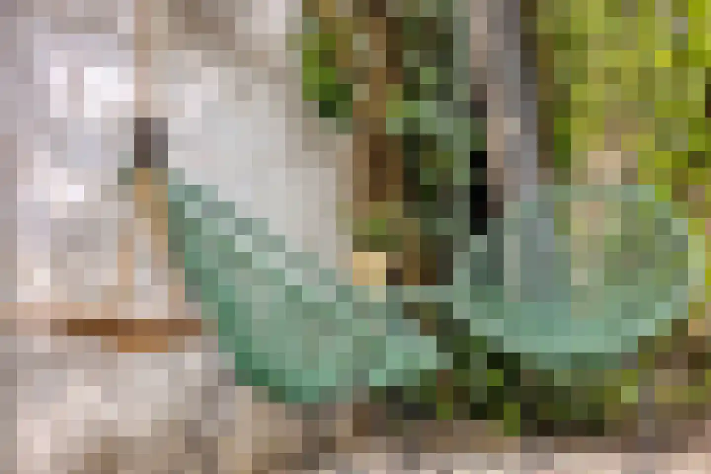 Javastraat 15 's-Hertogenbosch thumbnail 37