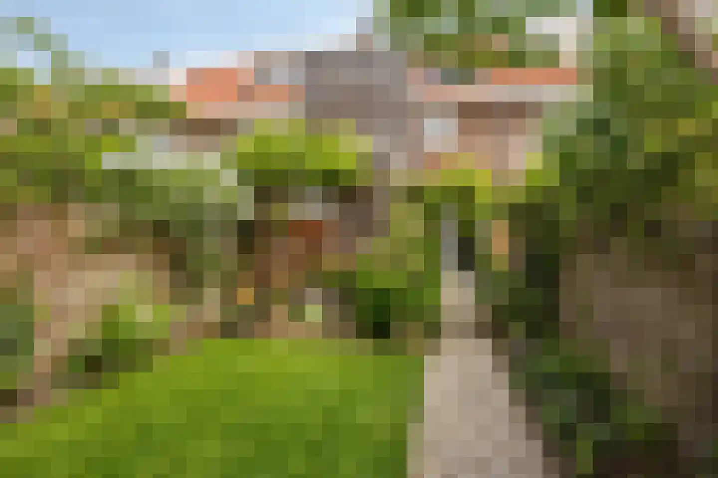 Javastraat 15 's-Hertogenbosch thumbnail 38