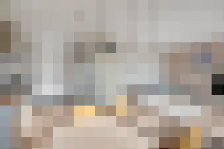 Javastraat 151 's-Hertogenbosch thumbnail 19