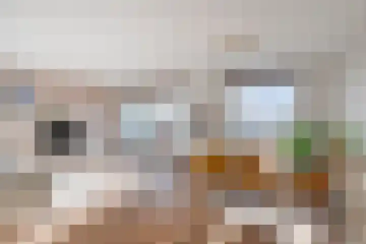 Javastraat 151 's-Hertogenbosch thumbnail 20