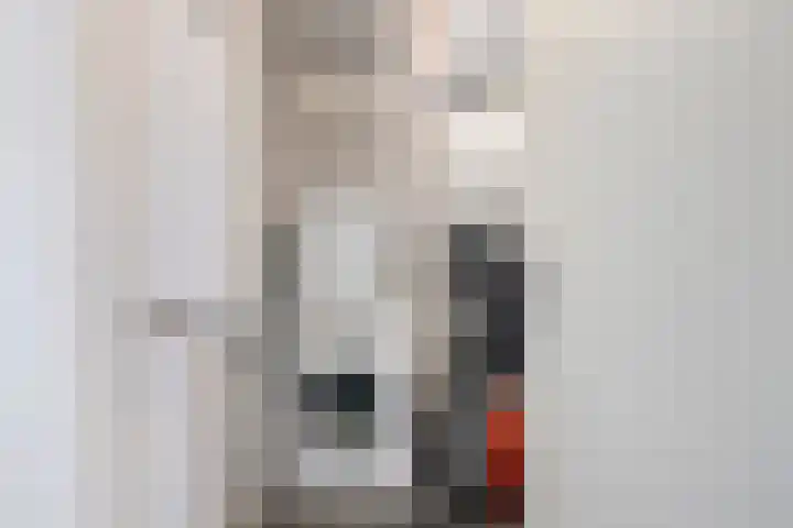 Javastraat 151 's-Hertogenbosch thumbnail 25