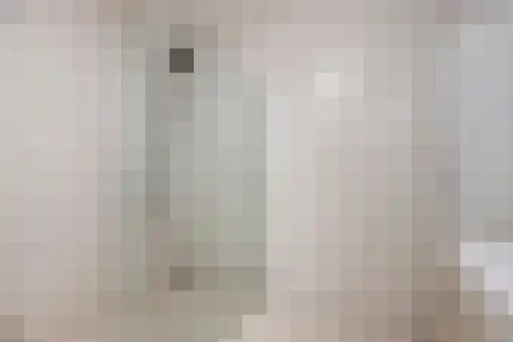 Javastraat 151 's-Hertogenbosch thumbnail 27