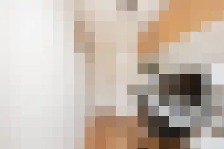 Javastraat 156 H Amsterdam thumbnail 15
