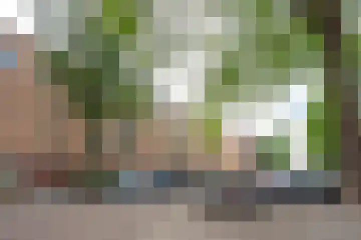 Javastraat 156 H Amsterdam thumbnail 20