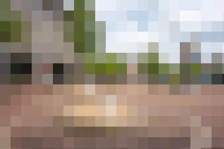 Javastraat 156 H Amsterdam thumbnail 22