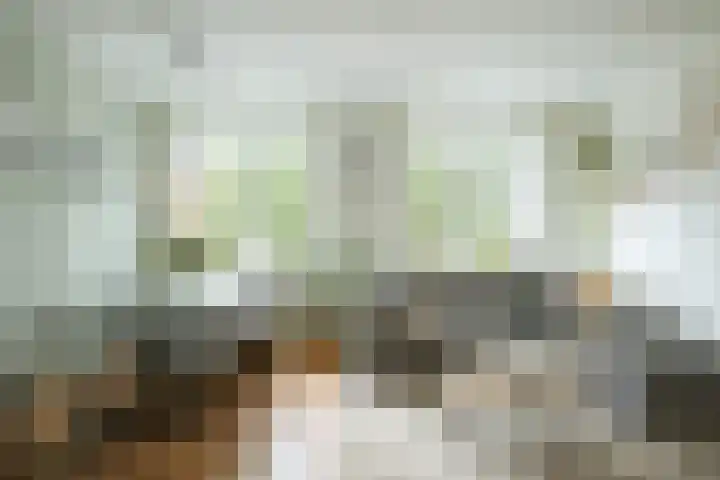 Javastraat 156 H Amsterdam thumbnail 5
