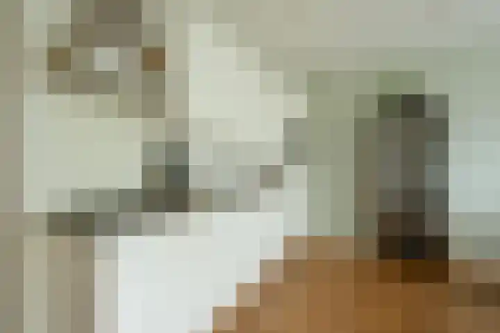 Javastraat 156 H Amsterdam thumbnail 9