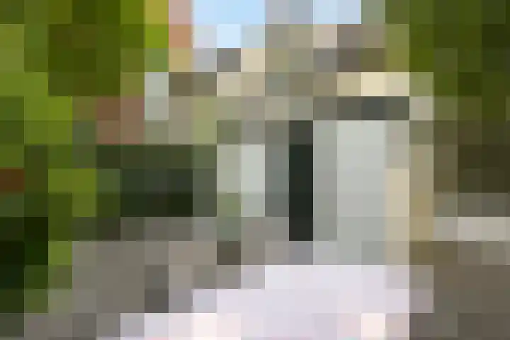 Javastraat 157 Den Haag thumbnail 9